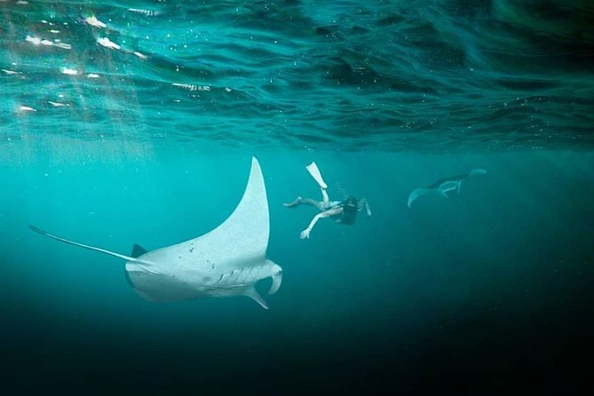 Snorkeling Manta Ray Safari in Nusa Penida - Equipment, photos, towels, and water
