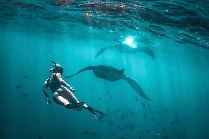 Snorkeling Manta Ray Safari in Nusa Penida - How crowded is the boat?