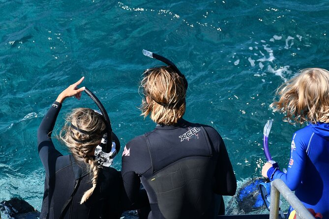 Snorkeling Manta Rays, Land Tour Tembeling Pool & Kelingking - Wall Bay Point and the problem of busy water