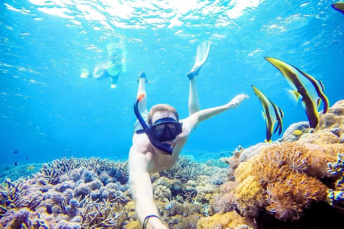 Snorkeling Nusa Penida and Island Tour Package - Manta Point: the day’s biggest wildlife possibility