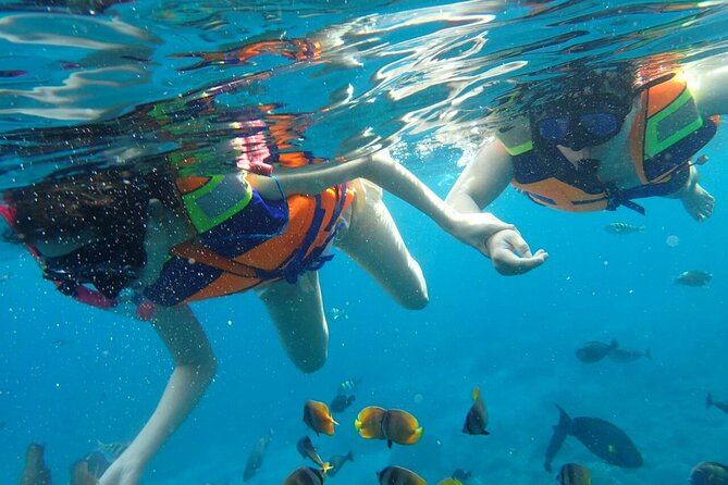 Snorkeling Nusa Penida and Island Tour Package - Kelingking Beach and the island tour option