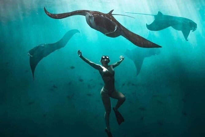 Snorkeling Nusa Penida and Island Tour Package - Lunch, gear, and what the $90 price covers