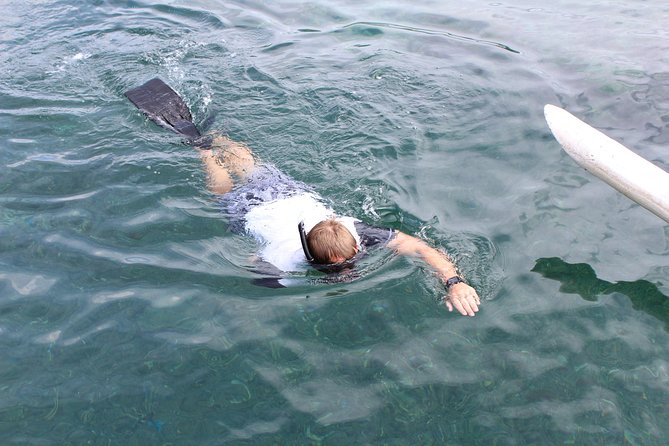 Snorkeling Tour at Blue Lagoon with Private Hotel Transfer - Why Padang Bai works for a half-day snorkeling trip