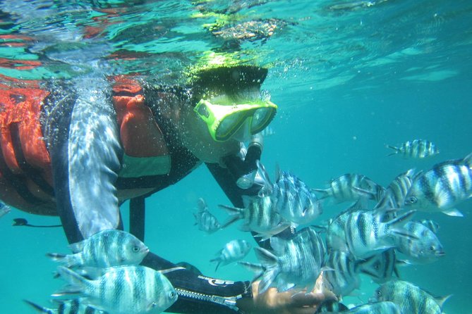 Snorkeling Tour at Blue Lagoon with Private Hotel Transfer - Timing, comfort, and small details that matter