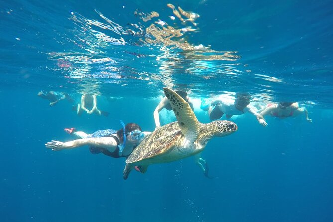 Snorkeling Tour In Gili Islands Pick Up From Lombok Or Gili - Timing, equipment, and what to bring