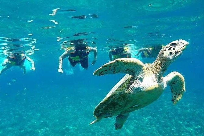 Snorkeling Tour In Gili Islands Pick Up From Lombok Or Gili - Gili Meno: statues, turtles, and a closer look below the surface