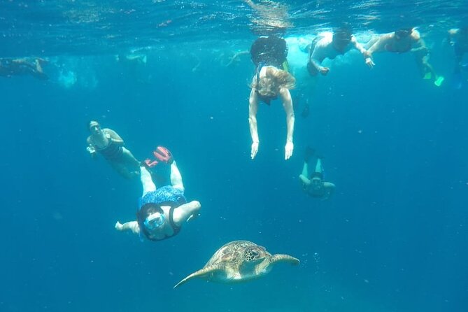 Snorkeling Tour In Gili Trawangan, Gili Meno And Gili Air Pick Up From Bali - Gili Air and the fish spot