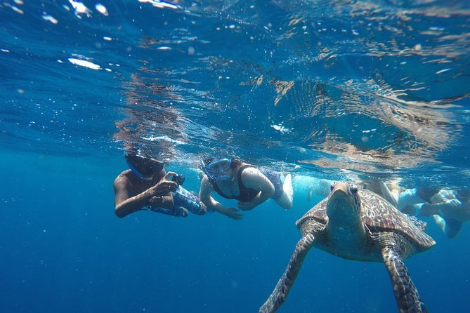 Snorkeling Tour In Gili Trawangan, Gili Meno And Gili Air Pick Up From Bali - Timing, food, and the return to Bali