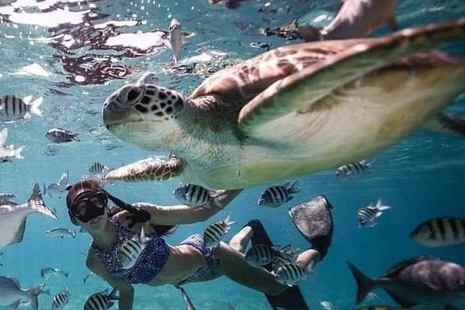 Snorkeling Tour In Gili Trawangan, Gili Meno And Gili Air Pick Up From Bali - Leaving Bali early for Padang Bai