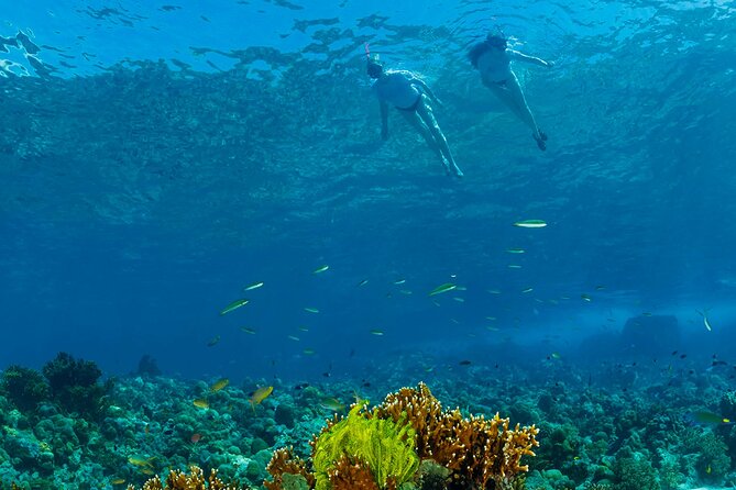 Snorkeling Trip to Menjangan Island - Leaving Pemuteran Beach at 9:00 AM