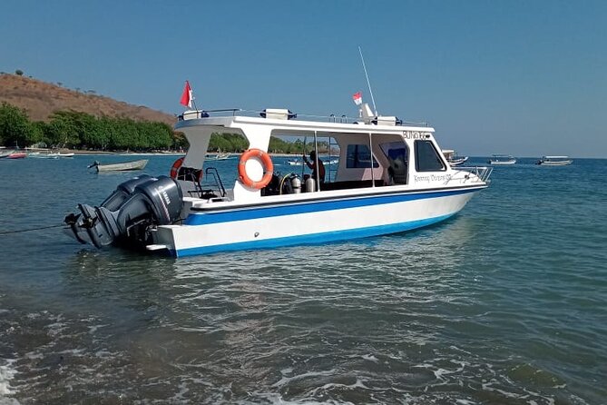 Snorkeling Trip to Menjangan Island - Lunch and the useful details included