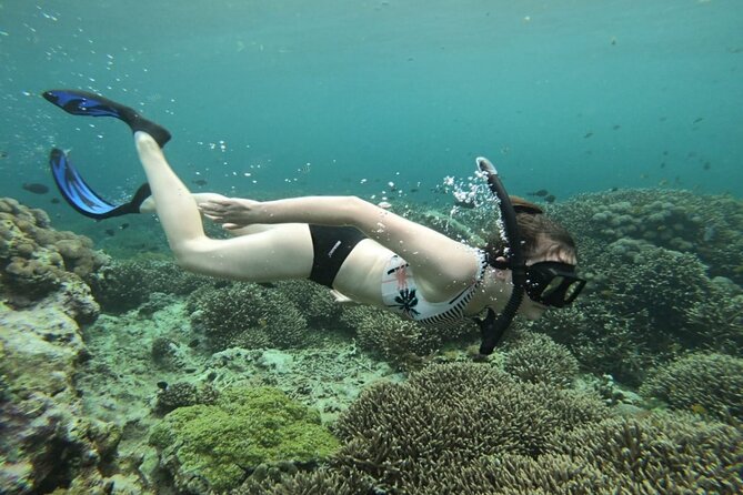 Snorkeling Trips with Manta Ray from Nusa Lembongan - First stop: Manta Point and the open sea