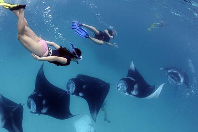 Snorkeling with Manta Rays in Their Habitat with Manta Point - Crystal Bay or Gamat Bay for the second stop
