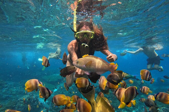 Snorkeling with Manta Rays in Their Habitat with Manta Point - Who will get the most from this trip