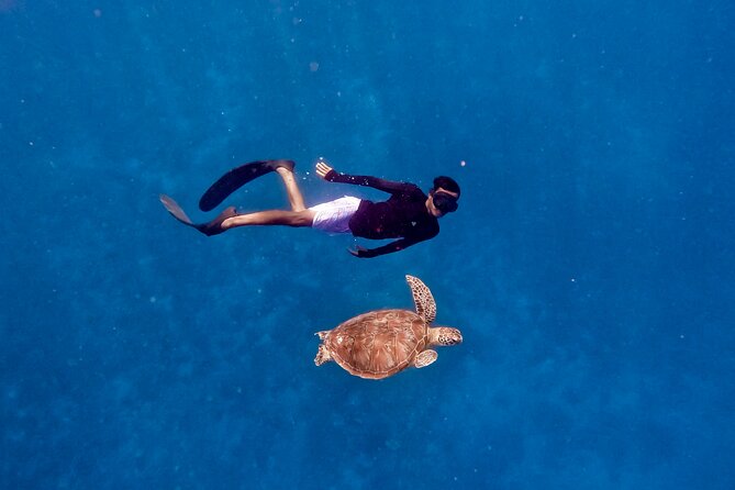 Snorkeling with turtle and statue in Gilis - Gili Meno and Gili Air: pleasant extras with a catch