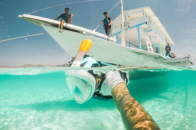 Snorkeling with turtle and statue in Gilis - Is $55 good value?