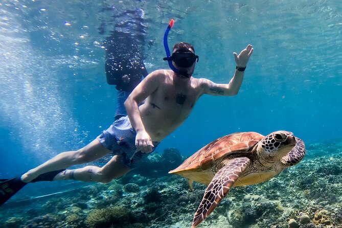 Snorkeling with turtle and statue in Gilis - Practical tips for a smoother outing
