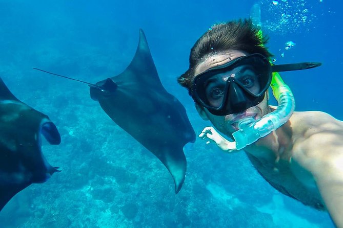 Snorkelling in Nusa Penida - Manta Point - Why this Nusa Penida outing is worth considering