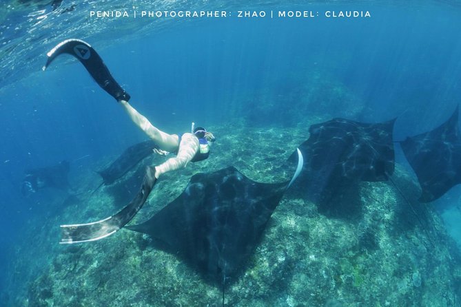 Snorkelling in Nusa Penida - Manta Point - North-coast sites and moving water