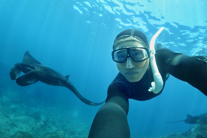Snorkelling in Nusa Penida - Manta Point - Leaving Sanur for Nusa Penida