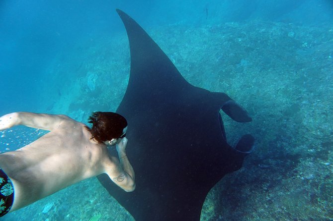 Snorkelling with Manta Rays at Nusa Penida and Lembongan - How the timing shapes your day