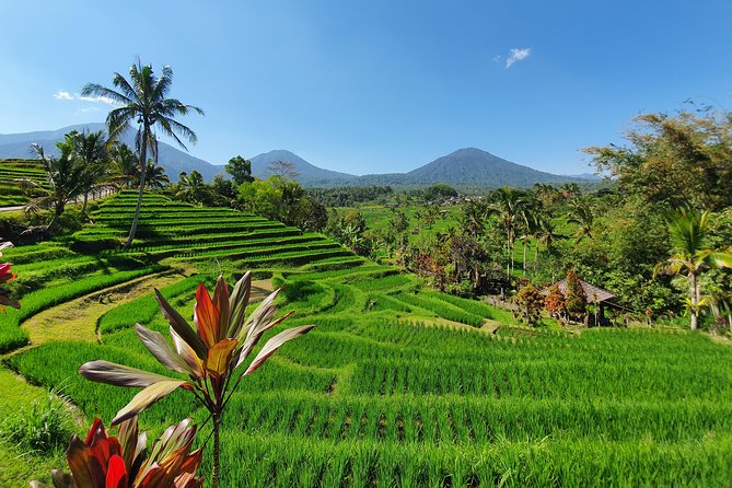 Solo or Group Tour - 10 Hours, 5 Persons Max - Starting at Ngurah Rai Airport at 8:00 am