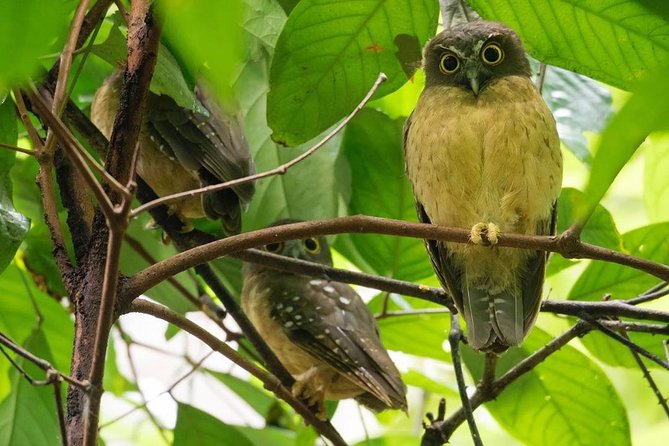 Sulawesi Tangkoko National Park Private Tour - Lunch, timing, and the practical details