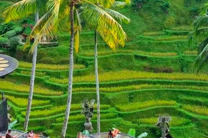 Sunset Sailboat Dinner Cruise & Private Ubud highlights Tour. - A private car makes a long day easier
