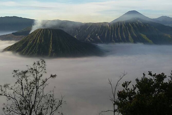 Surabaya Bromo Ijen Drop Bali 3-Day Private Tour - Day 1: three hours from Surabaya to Bromo