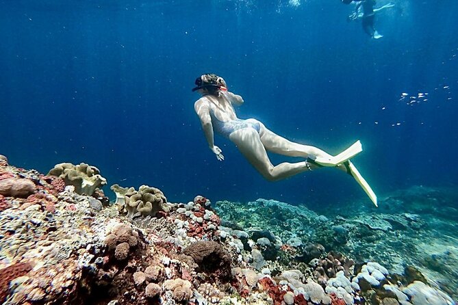 Swim with Manta Rays: Snorkeling Day Trip from Bali - Arriving at Jungut Batu Beach on Nusa Lembongan