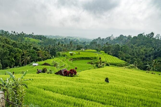 Tanah Lot and North Bali Tour: Scenic Journey - Banyumala Twin Waterfalls: beautiful, but physically demanding