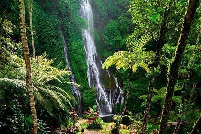 Tanah Lot and North Bali Tour: Scenic Journey - Why the private format is worth considering