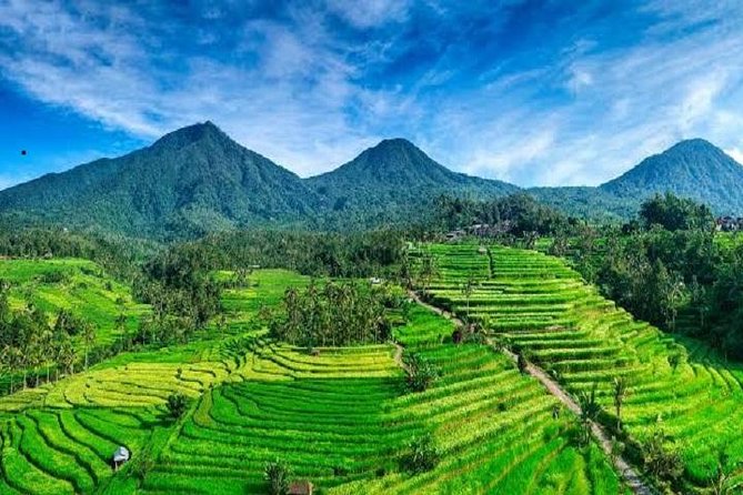 Tanah Lot - Jatiluwih (UNESCO) - Beratan lake -Hidden hill (Wanagiri)-FREE WI-FI - Food, fees, and the real price