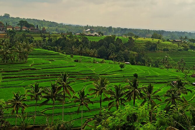 Tanah Lot Tour: Discover Bali’s Iconic Temple and Stunning Views - Jatiluwih Green Land and Bali’s farming tradition