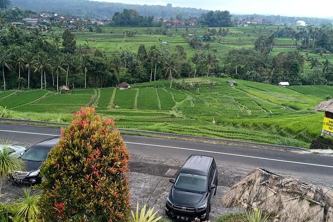 Tanah Lot Tour & North Bali Tour : All-Inclusive Best Experience - Wanagiri Twin Lake viewpoint