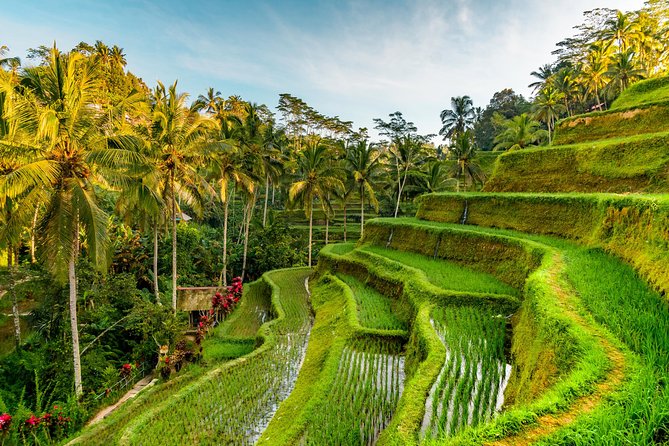 Tanah Lot Tour with Ubud Monkey Forest, Rice Terraces, and Waterfalls - Tegenungan Waterfall in a short stop