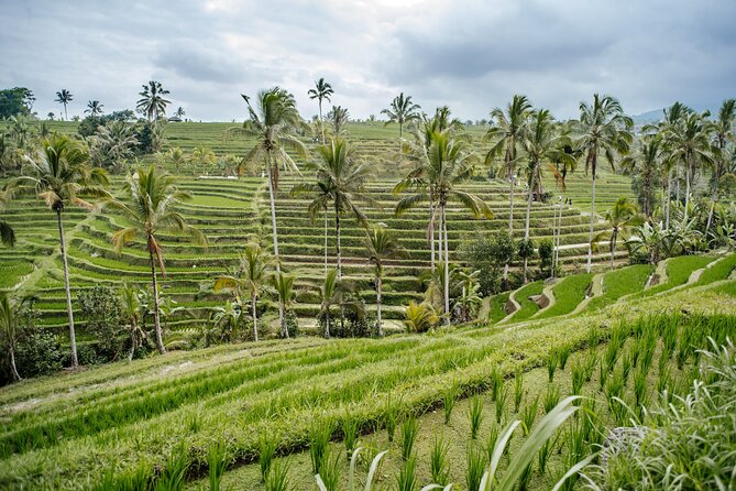 Tanah Lot & UNESCO Heritage Small Group Tour - What to wear and what to carry