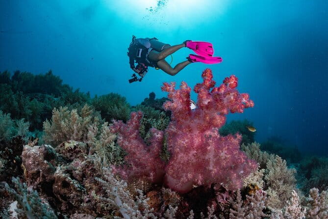 Tangkoko Bitung Manado Nature Tourism Park includes lunch. - Who will enjoy this half-day outing