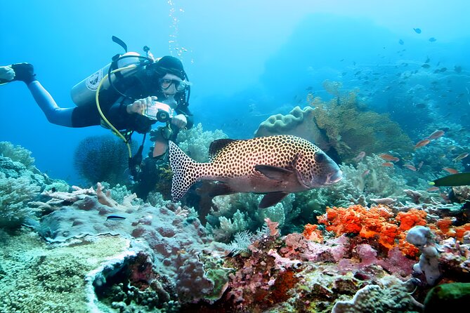 Tanjung Benoa Water Sports: All Inclusive Bali Activities - Is $70 a fair price?