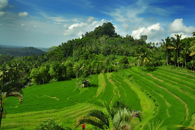 Telaga Waja White Water Rafting and Besakih Temple Tour - Transport, timing, and the real cost of a full day