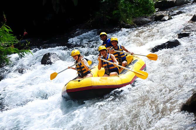 Telaga Waja White Water Rafting - With No Step or Stair : Bali Best Adventures - Rapids, drops, and waterfalls