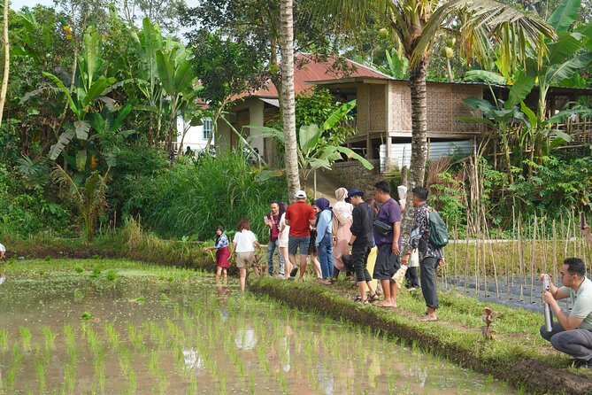 Tete Batu Tour (Culture, Rice Terraces and Waterfalls) - What the private guide adds