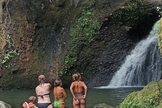 Tetebatu Guided Tour in Rice Terraces Waterfall and Monkey Forest - A two-hour Sasak lunch