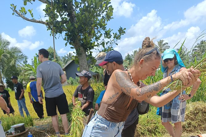 Tetebatu Guided Tour in Rice Terraces Waterfall and Monkey Forest - Is $75 a fair price for eight hours?