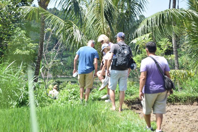 Tetebatu Walking Tour - Rice Terraces, Waterfall & Monkey Forest - Why Tetebatu is worth your day
