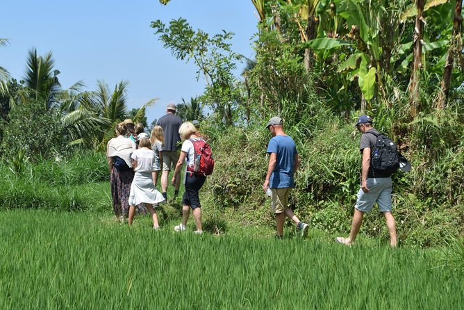 Tetebatu Walking Tour - Rice Terraces, Waterfall & Monkey Forest - Lunch at Warung Monkey Forest