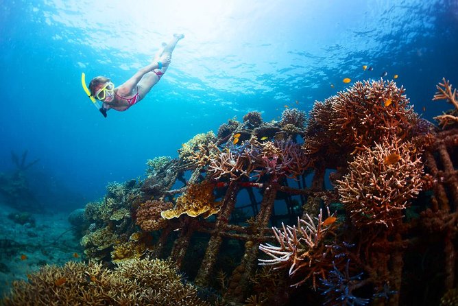 The Best 2-point Snorkeling in Padangbai: Blue lagoon and Tanjung jepun - Lunch at 11:00 am is not included