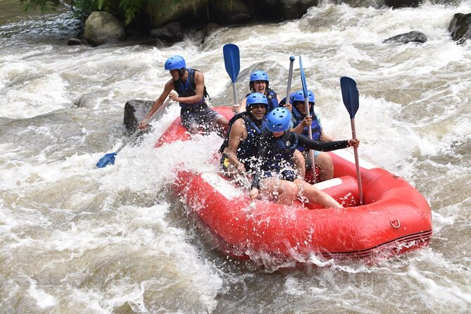 The Best Ayung River Rafting Adventure in Ubud - Is $50 a Fair Price?
