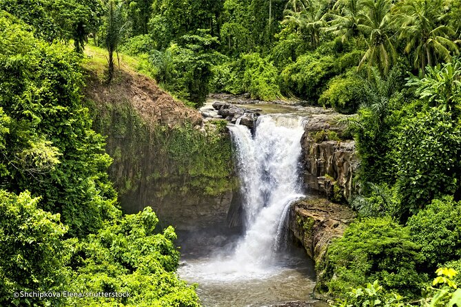 Three Main spot Bali Waterfall with Swing - The Ubud jungle swing costs extra