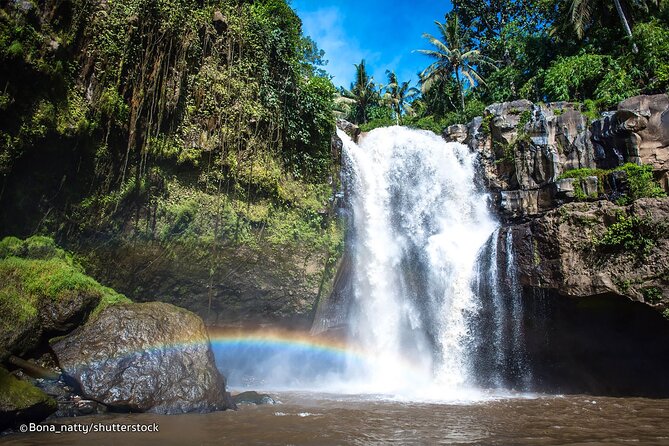 Three Main spot Bali Waterfall with Swing - Guides make the long road worthwhile